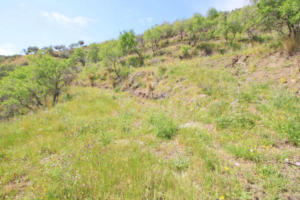 Terreno en Valtocado - La Alquería - La Atalaya