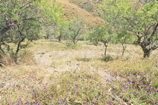 Terreno en Valtocado - La Alquería - La Atalaya
