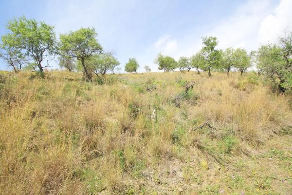 Terreno en Valtocado - La Alquería - La Atalaya