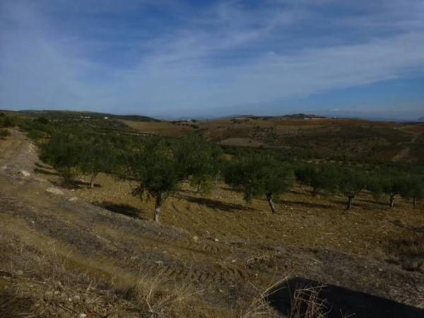 Terreno en camino de Valentín, km 2