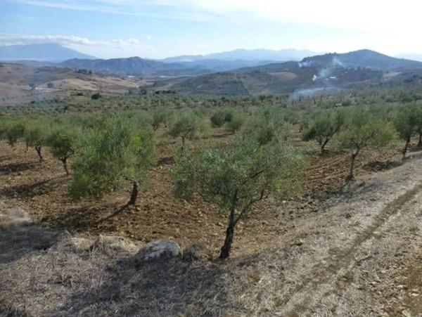 Terreno en camino de Valentín, km 2