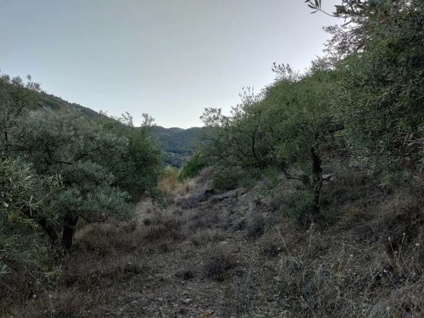 Terreno en carril de la Breña, km 8