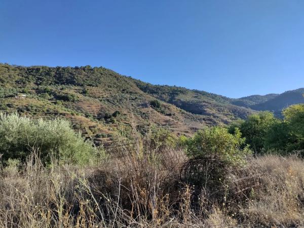 Terreno en carril de la Breña, km 8