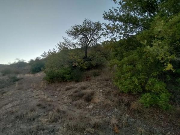 Terreno en carril de la Breña, km 8