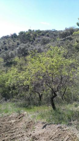 Terreno en El Retamar s/n