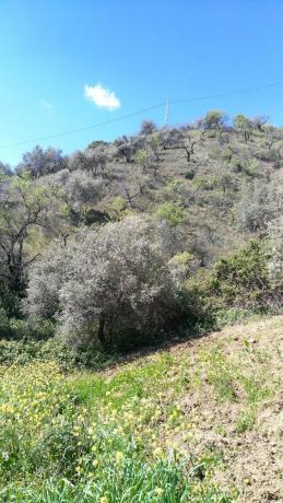 Terreno en El Retamar s/n