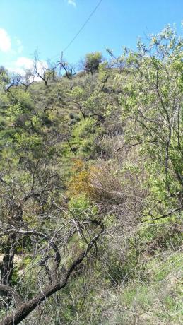 Terreno en El Retamar s/n