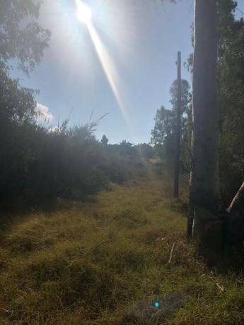 Terreno en Barrio San Pedro Pueblo