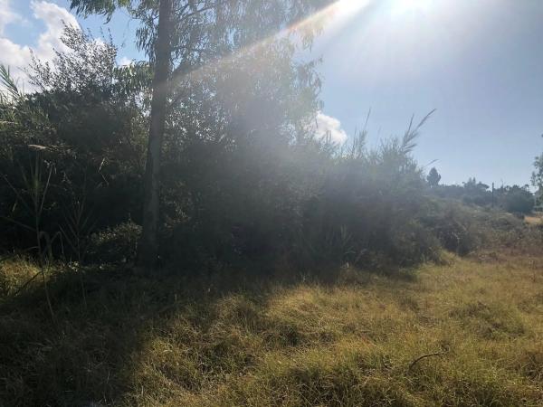 Terreno en Barrio San Pedro Pueblo