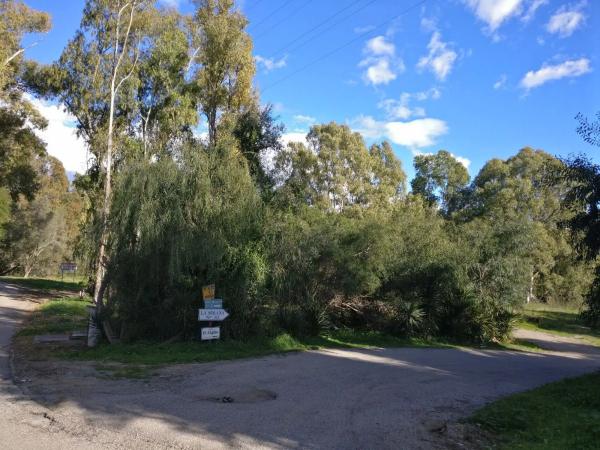 Terreno en camino del Higueral s/n