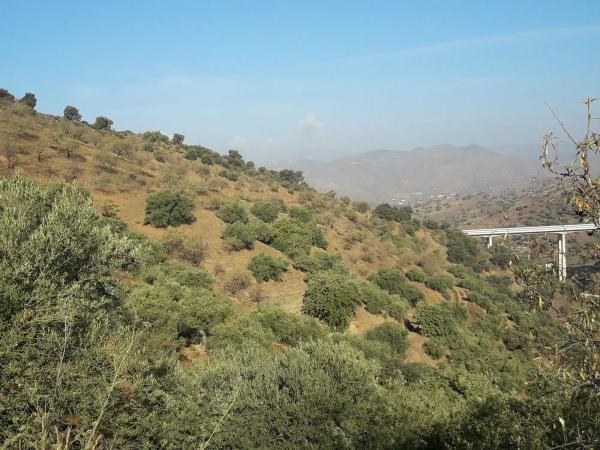 Terreno en Diseminado R32, 115