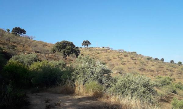 Terreno en Diseminado R32, 115