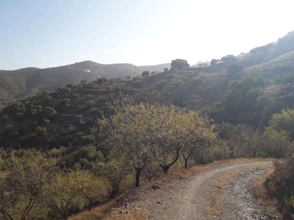 Terreno en Diseminado R32, 115