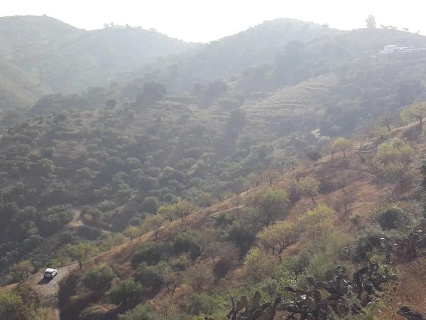 Terreno en Diseminado R32, 115