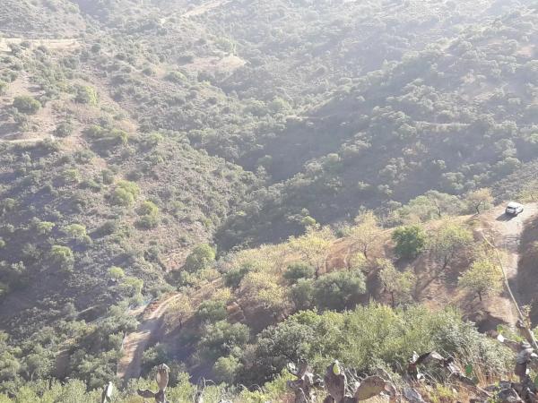 Terreno en Diseminado R32, 115