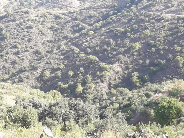 Terreno en Diseminado R32, 115