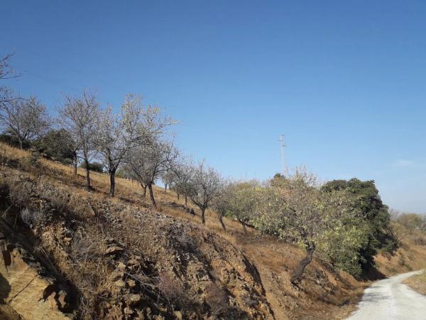 Terreno en Diseminado R32, 115