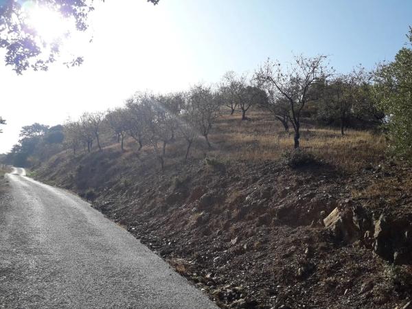 Terreno en Diseminado R32, 115