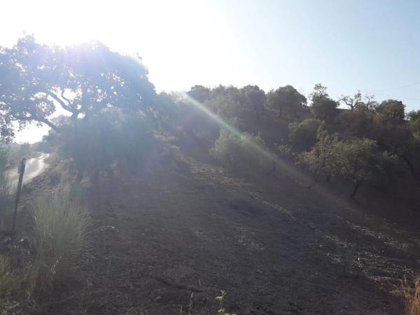 Terreno en Diseminado R32, 115