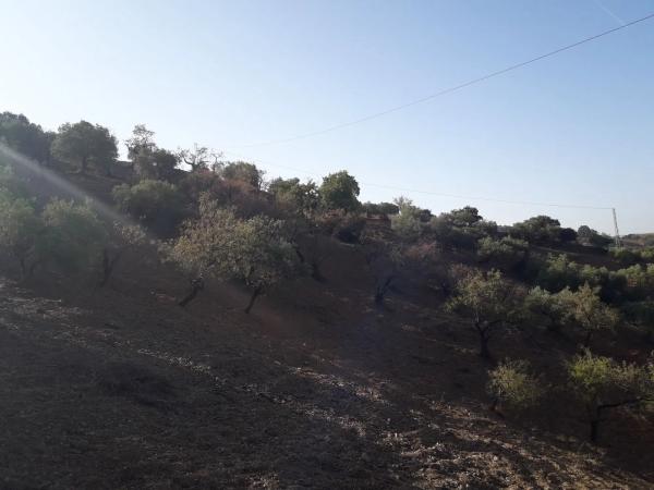 Terreno en Diseminado R32, 115