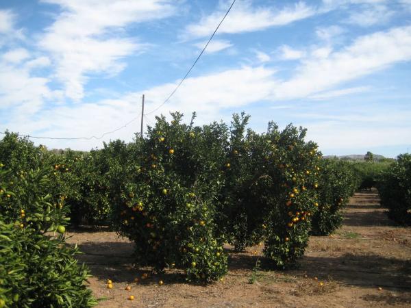 Terreno en Diseminado Poligono 10, km 1
