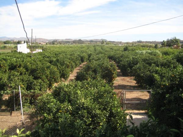 Terreno en Diseminado Poligono 10, km 1
