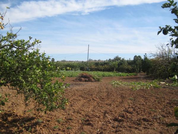 Terreno en Diseminado Poligono 10, km 1