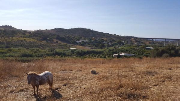 Terreno en Barrio Guadalobón