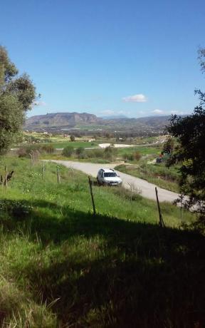 Terreno en carretera de la Dehesa Alta, km 2