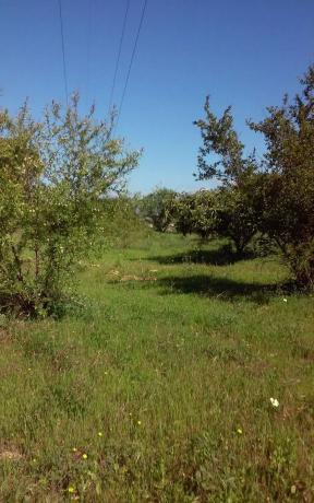Terreno en carretera de la Dehesa Alta, km 2