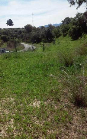 Terreno en carretera de la Dehesa Alta, km 2