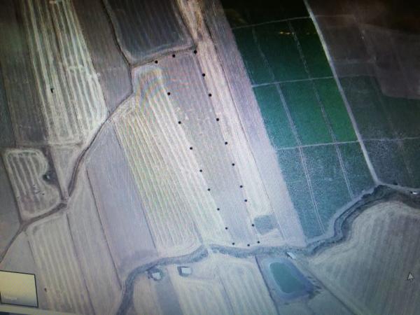 Terreno en camino de Alfarnate a Loja s/n