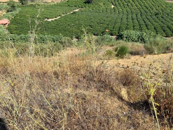 Terreno en El cuervo s/n