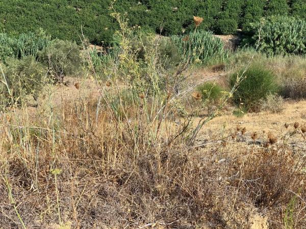 Terreno en El cuervo s/n