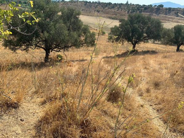 Terreno en El cuervo s/n