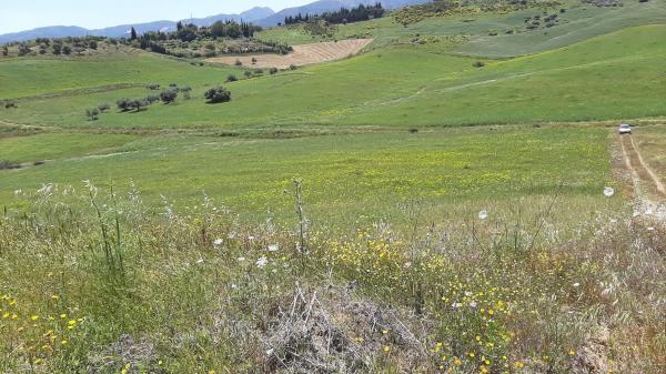 Terreno en El cuervo s/n