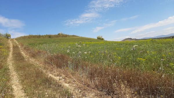 Terreno en El cuervo s/n
