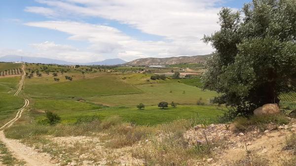 Terreno en El cuervo s/n