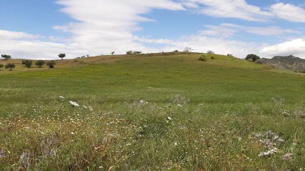 Terreno en El cuervo s/n