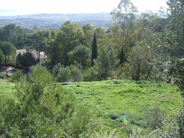 Terreno en Arbolada, 80 -81