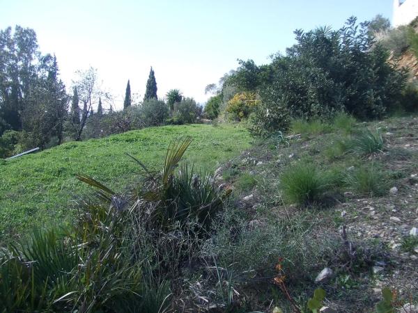 Terreno en Arbolada, 80 -81