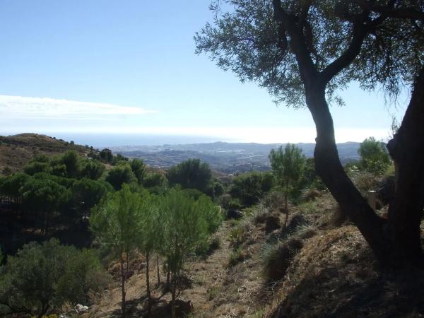 Terreno en Arbolada, 80 -81