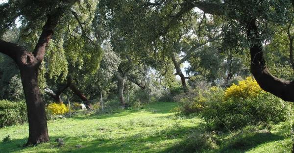 Terreno en carretera A-373, km 4