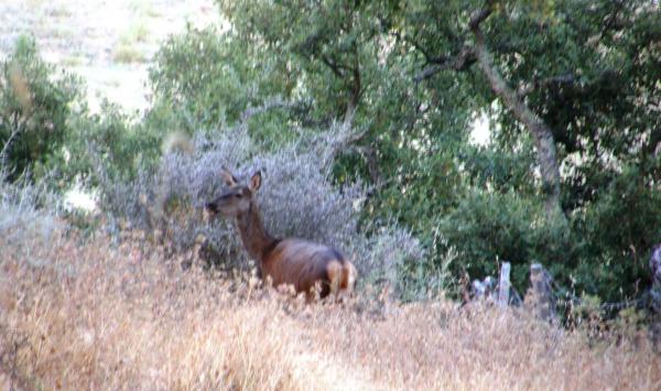 Terreno en carretera A-373, km 4
