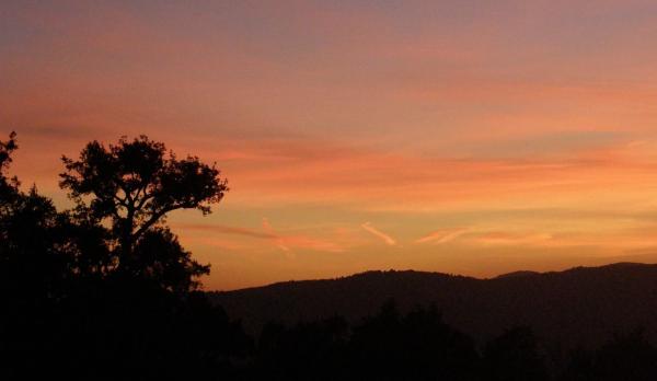 Terreno en carretera A-373, km 4