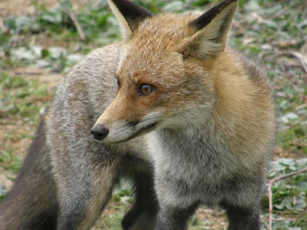 Terreno en carretera A-373, km 4