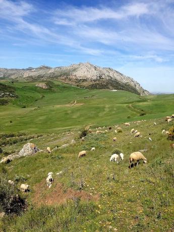 Terreno en calle Concepción, 169
