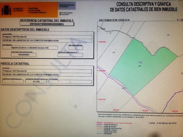 Terreno en calle Concepción, 169