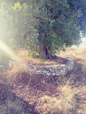 Terreno en gibralgalia s/n