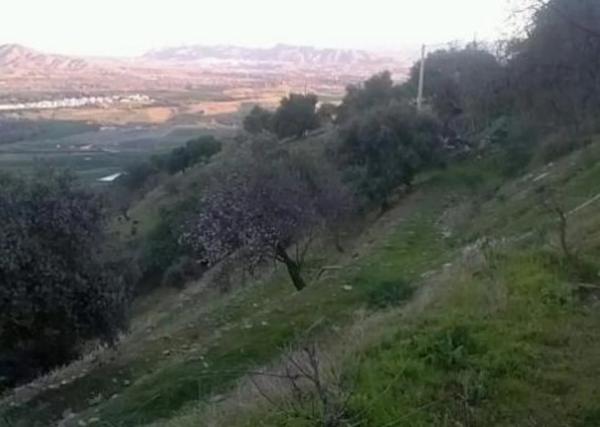 Terreno en gibralgalia s/n